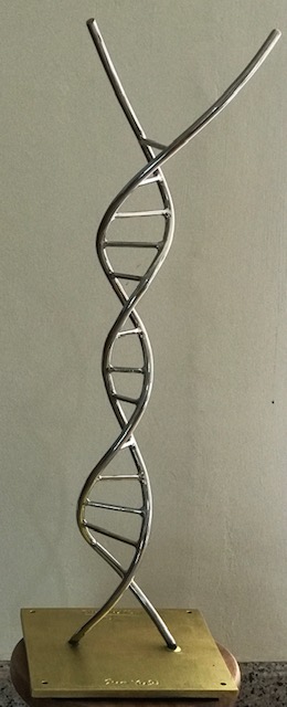 Bicentennial DNA 2019 Stainless Steel [80 cm x 20 cm]