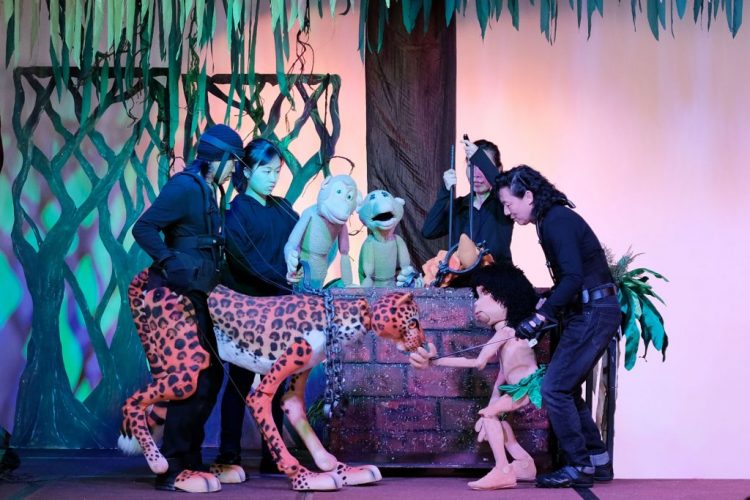 The Jungle Adventure : A Romp on the Wild Side