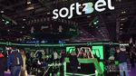 Informe Estudio Soft2Bet: Destaca su posicionamiento en España